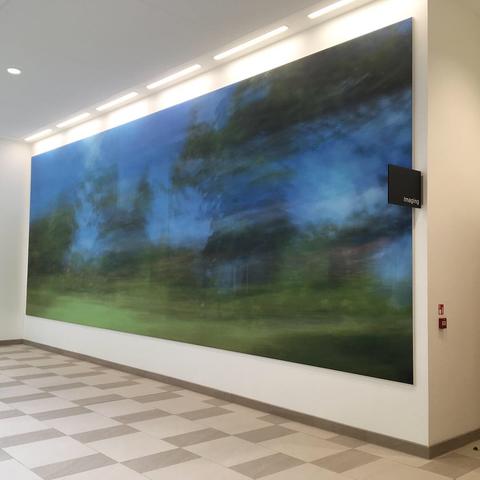 Royal Papworth Charity - we funded artwork by Sigune Hamann in the out-patients department